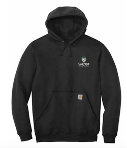 Carhartt Hoodie WVIT